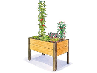 Salad Garden 2' x 4'