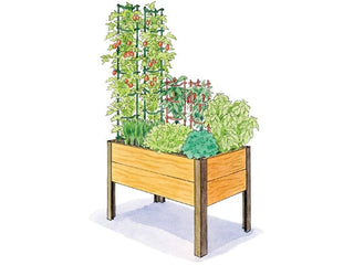 Salsa Garden 2' x 4'