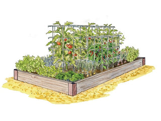 Salsa & Tomato Sauce