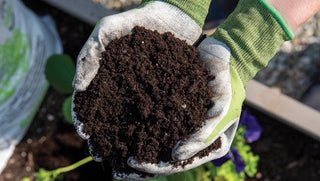 Food & Flowers Start Here: Soils, Compost, & Mulch