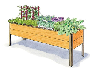 Stir Fry Garden 2' x 8'