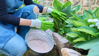 Tending Your Garden