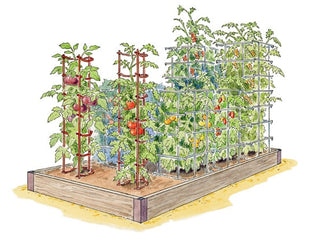 Totally Tomatoes