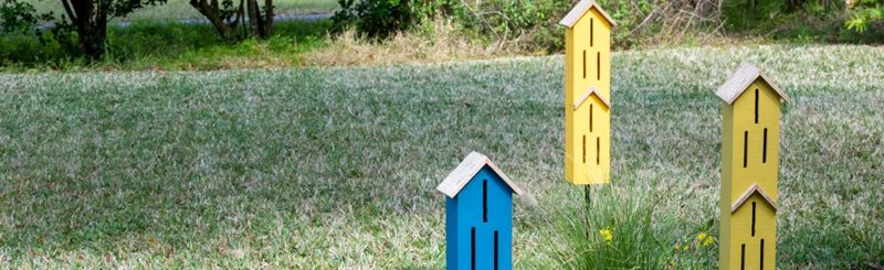 Backyard Habitat