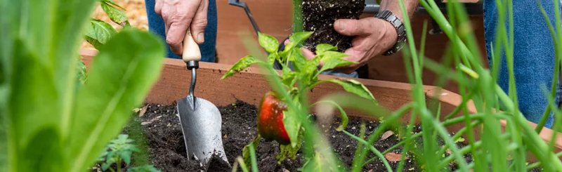 Garden Tools