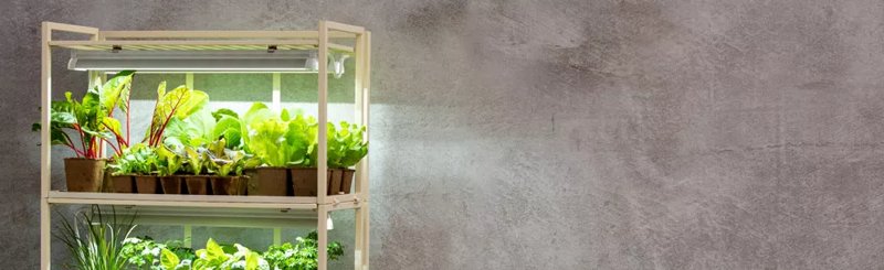 Grow Lights & Stands