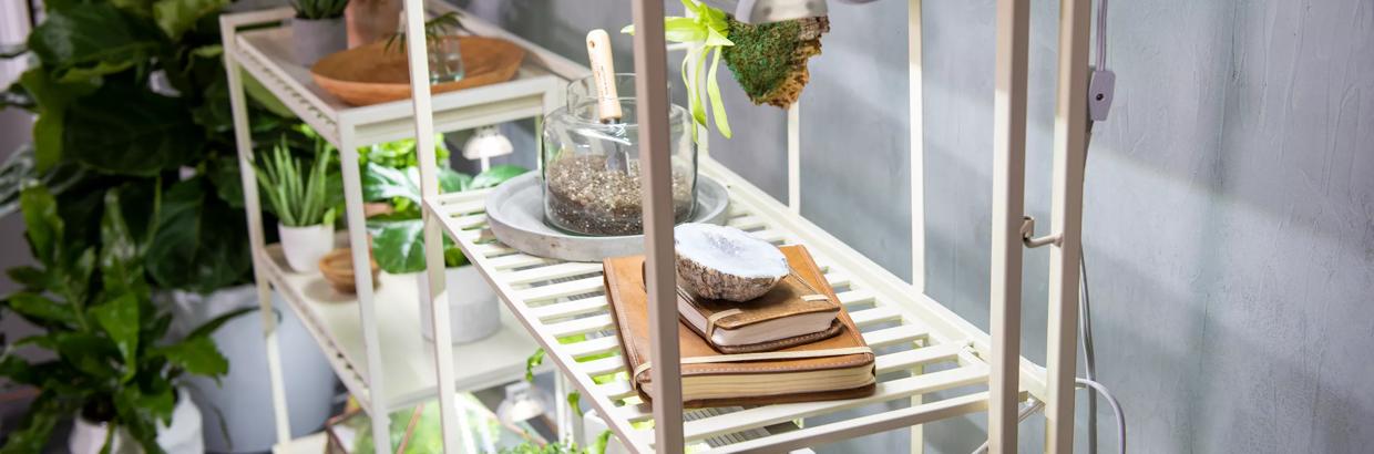 Indoor Garden