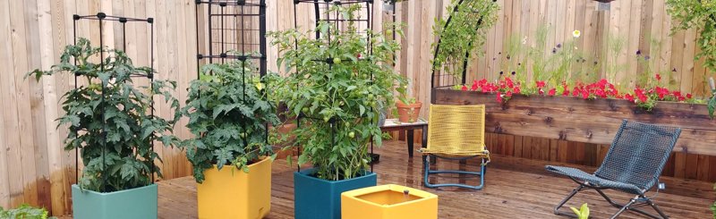 Pots & Planters