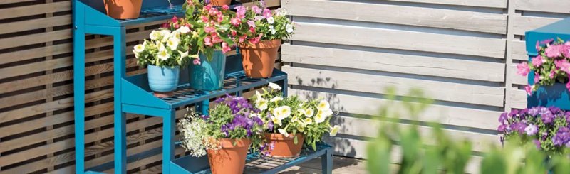 Plant Stands, Caddies & Trays