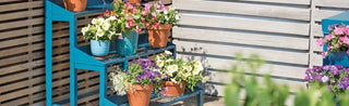 Plant Stands, Caddies & Trays