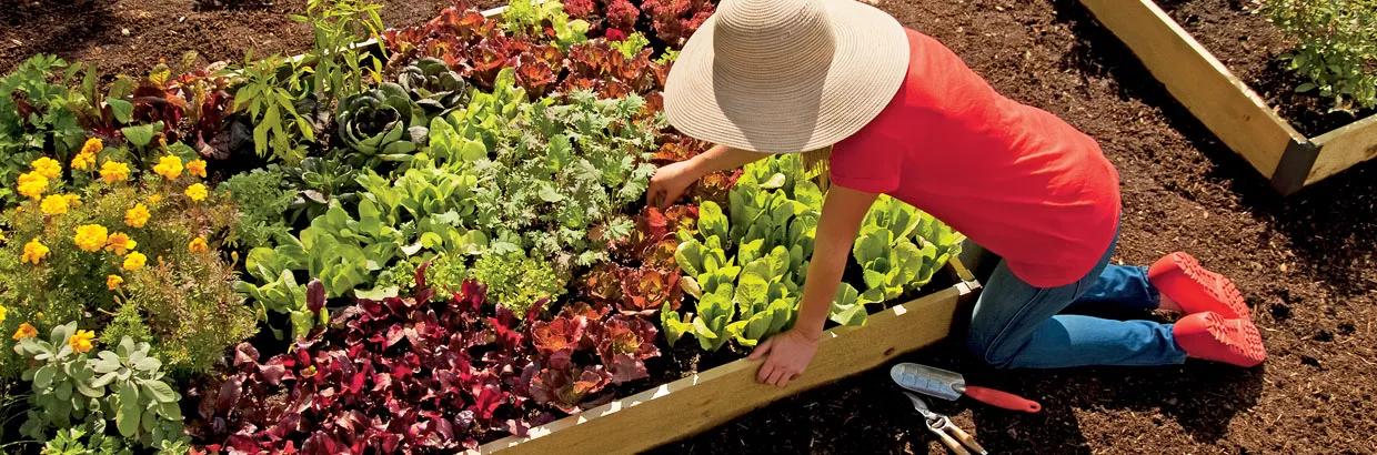 Planters & Raised Beds