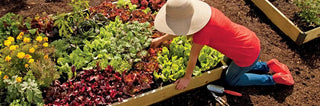 Planters & Raised Beds