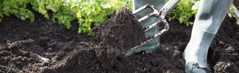 Soils & Fertilizers