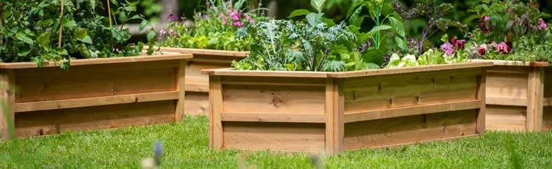 Raised Beds