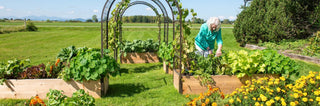 Raised Garden Beds