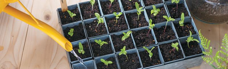 Seed Starting Supplies