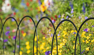 Landscaping Tools & Supplies