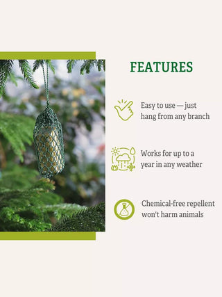  || https://assets.gardeners.com/transform/d3b2b592-894d-4429-9f6b-9e6f6d4c8b75/05626_7