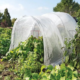 Super Hoop Bases, Set of 6