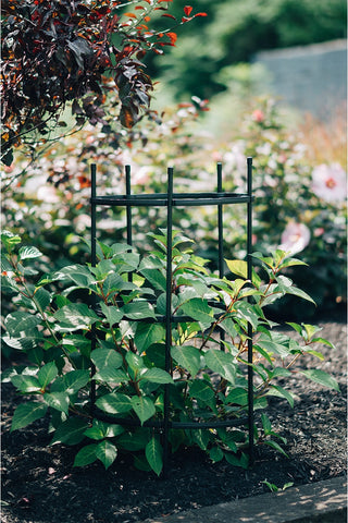 Titan™ Peony Supports, Large, Set of 2