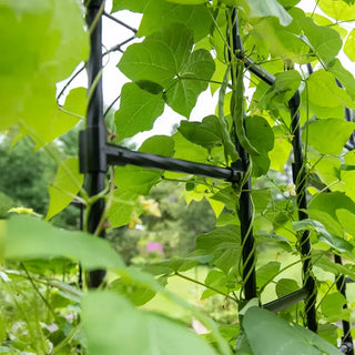 Titan Arch Connectors, Set of 9