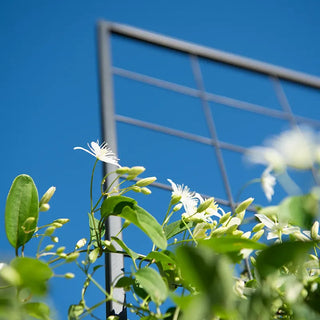 4' Pivoting Trellis For RBS & EPBS