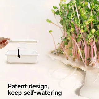 Mats for Bamboo Microgreen Growing Tray, Set of 40
