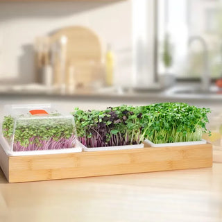 Mats for Bamboo Microgreen Growing Tray, Set of 40