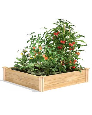 4' Cedar Raised Beds