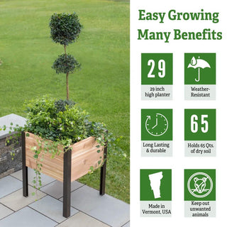 || https://assets.gardeners.com/transform/331e971a-3de7-498e-a554-53b832dab640/2x2-Cedar-Planter-4