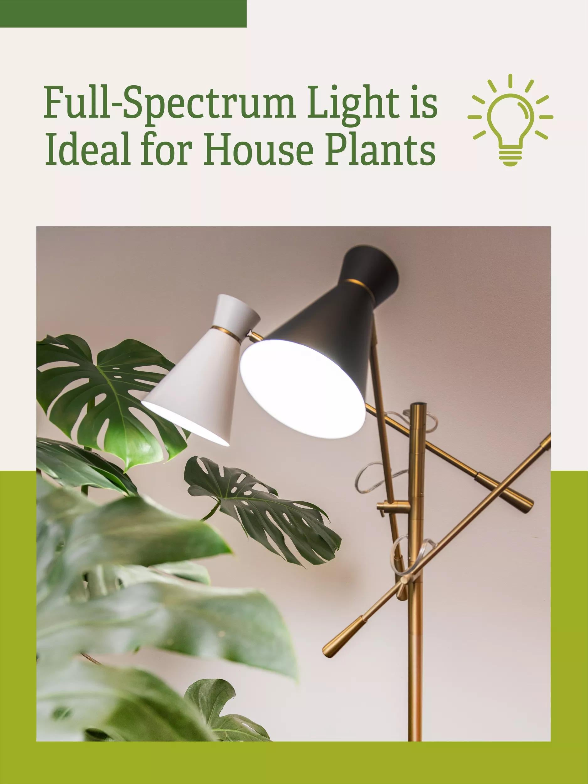 grow light floor lamp for plants Adjustable 3-Arm Grow Lamp