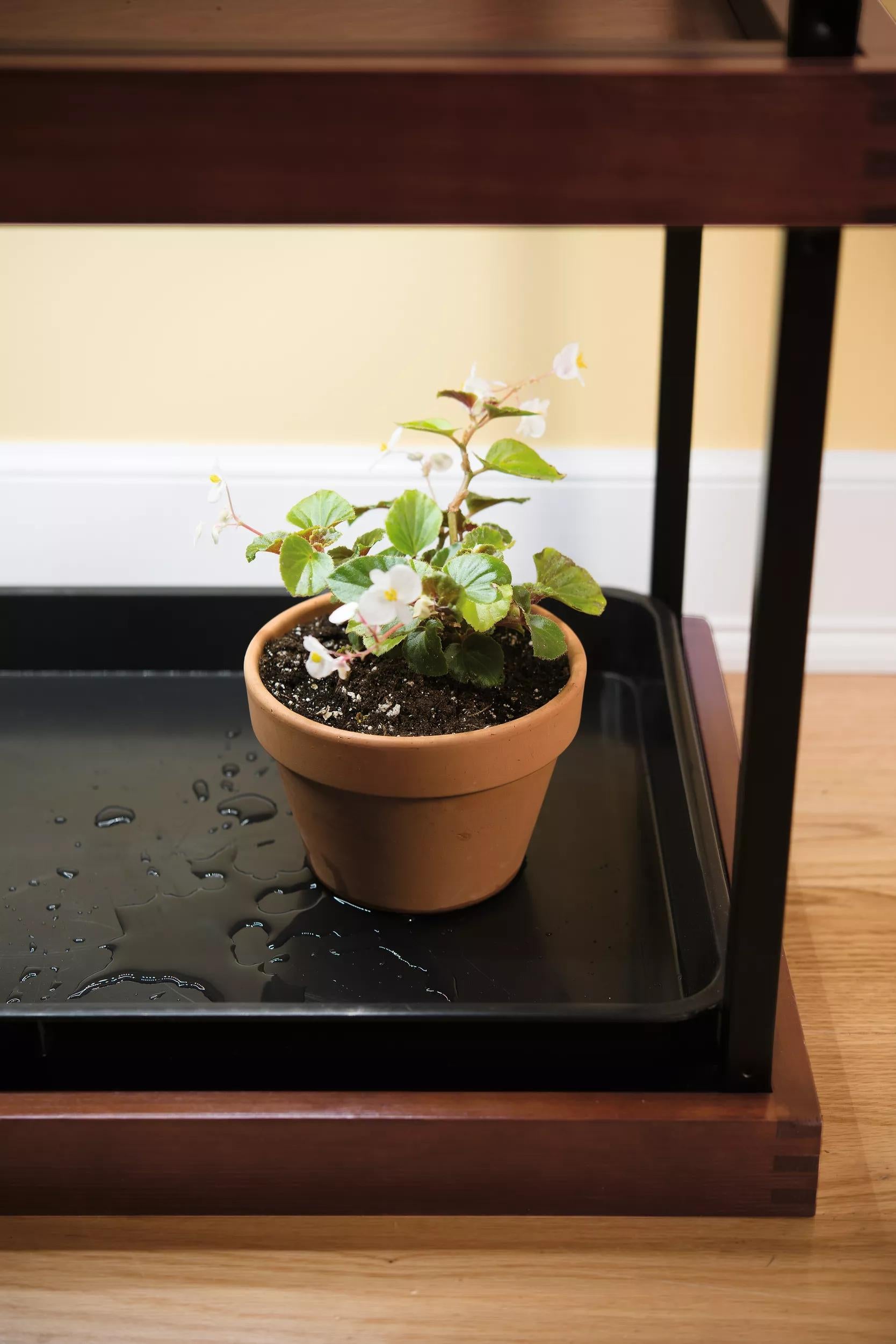tray for indoor plants Small Boot Tray | Recycled Plastic Tray