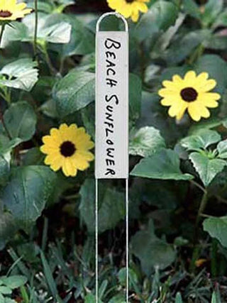  || https://assets.gardeners.com/transform/d31f08e8-751e-4e65-b993-800c091932b0/33-235_25-vertical-markers
