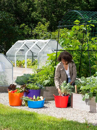  || https://assets.gardeners.com/transform/add02451-b97b-4ba7-9f3e-e0512bd2905b/35-592_0181-1