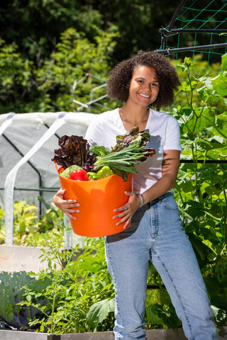  || https://assets.gardeners.com/transform/6da2483f-c20f-47df-ae94-b5c7d6dce670/35-592_0187_colorful-tubtrug-7-gallon-tif