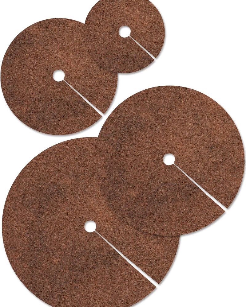 Coco Fiber Tree Rings 36