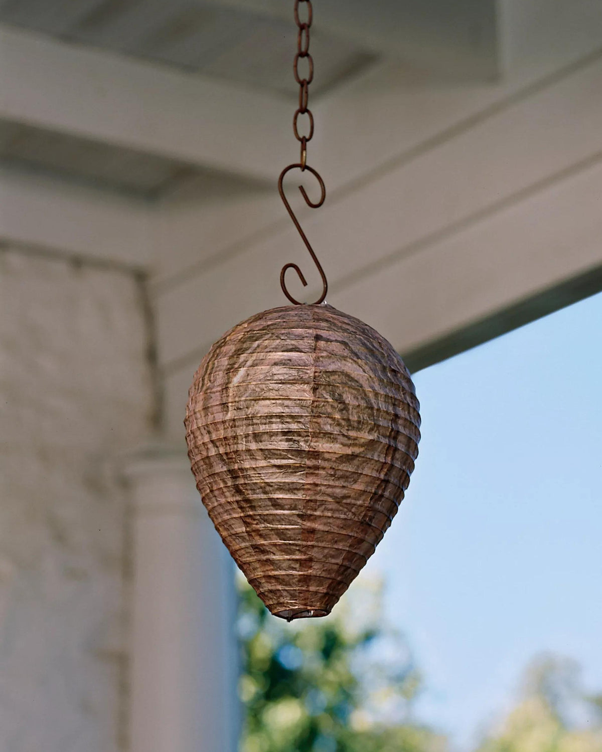 Natural Protection Insect Natural Insect Protection for Gardens | Gardener's Supply