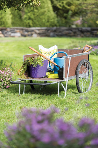  || https://assets.gardeners.com/transform/06a83014-8dd8-427c-9b92-32365318918f/36500_0833-tif