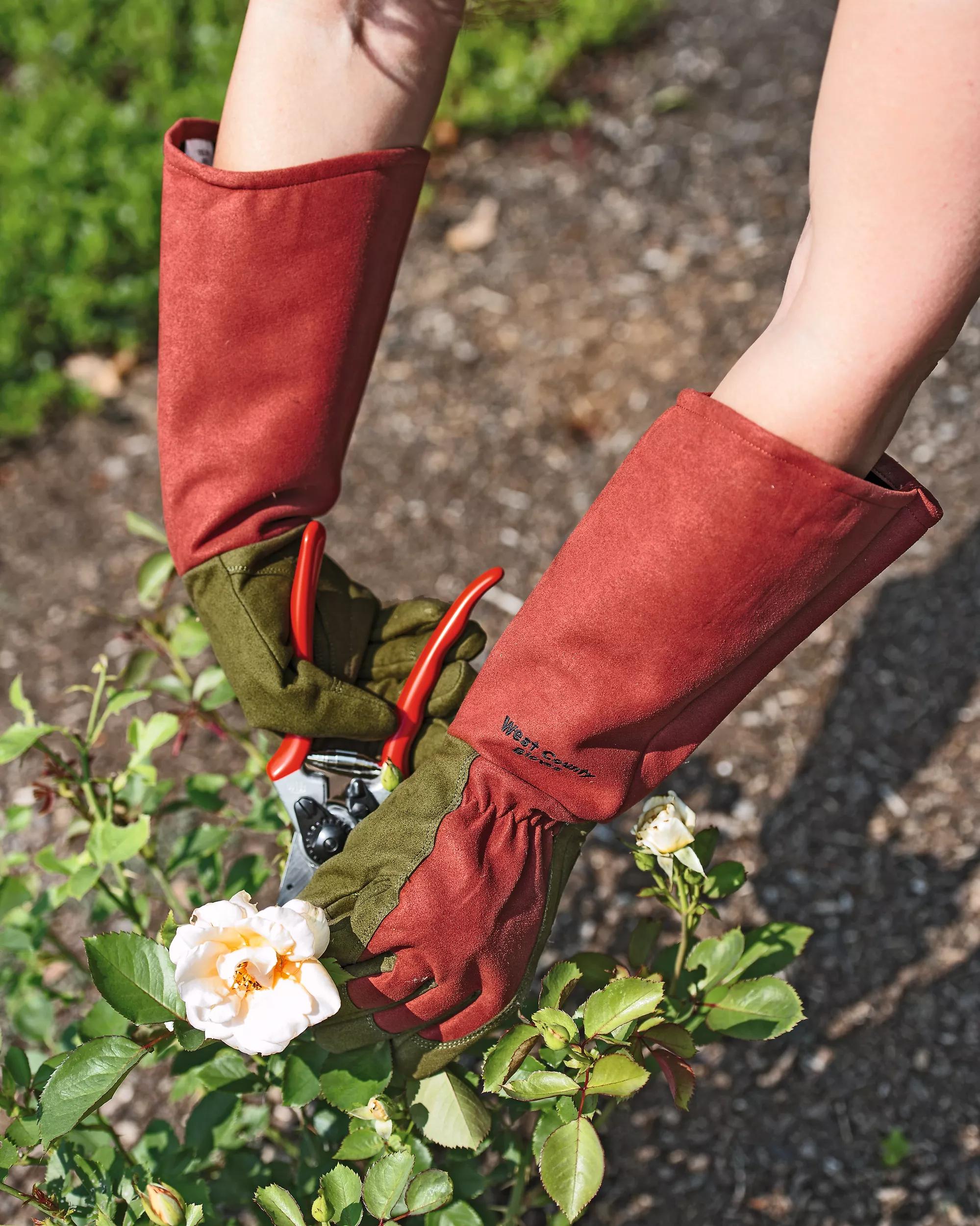 bionic rose gardening gloves Rose Gloves | Medium