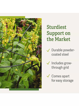  || https://assets.gardeners.com/transform/0e7820bf-0a64-4bfa-8c76-5adb3234df54/37-423_product-details