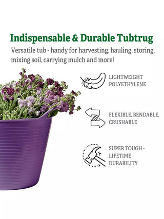  || https://assets.gardeners.com/transform/64b47eb7-618d-4155-aab8-fcc76fac83ba/37027_3