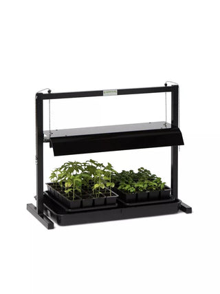  || https://assets.gardeners.com/transform/90417102-9ffa-4c66-b6f1-e044b534b814/37817_1640_tabletop-grow-light_3-4