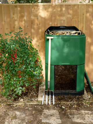  || https://assets.gardeners.com/transform/1e552ccc-b8ba-4a82-ad69-213333a48f13/38-183_04V-tif