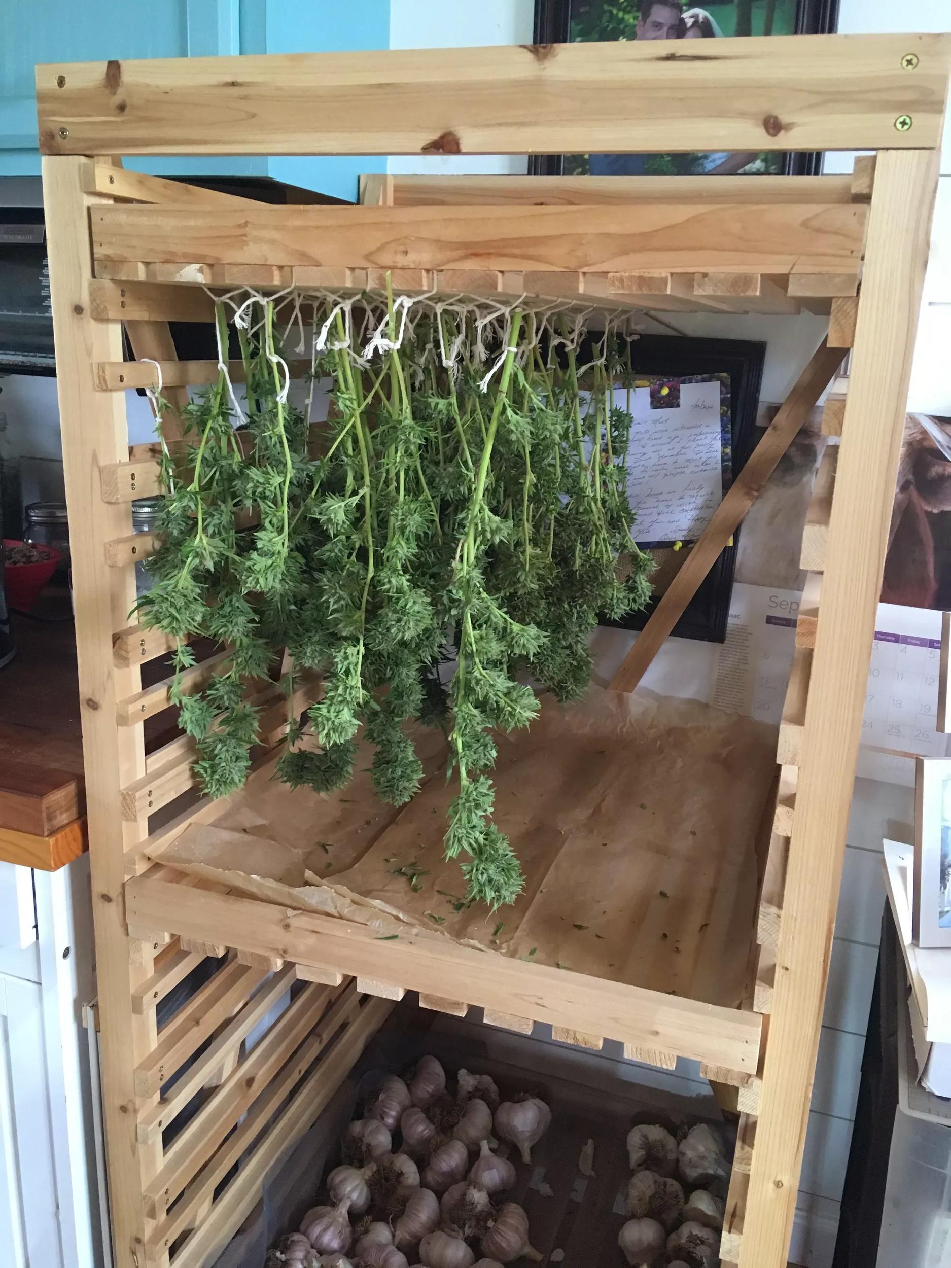 vegetable plant rack Vegetable Storage Wood Rack