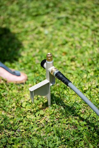  || https://assets.gardeners.com/transform/965c814a-0a0e-4029-b287-7dca7405c315/38-970_1191