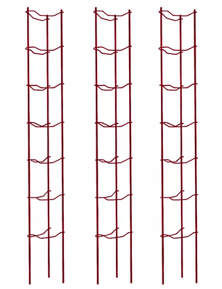  || https://assets.gardeners.com/transform/3459ceed-c72a-4914-a11c-930fb1441863/38185_002E-psd