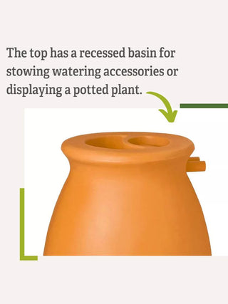  || https://assets.gardeners.com/transform/dc6443b1-c5a6-4609-90d1-6388f023c933/38684_6