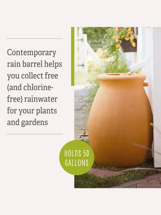  || https://assets.gardeners.com/transform/73cc5fca-795a-47f7-b41b-f45c559581e3/38684_7