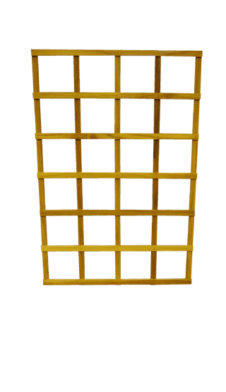  || https://assets.gardeners.com/transform/b14bb85f-2c8d-46ad-afa1-16a4489ef5a2/38845_01V-tif
