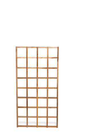  || https://assets.gardeners.com/transform/32b7ca21-af12-419c-b7c9-dfcdf83603ee/38846_0509-tif